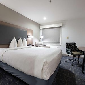 Queen Room Mobility Accessible Bath Tub